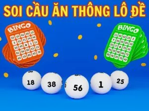 cach soi cau an thong lo de