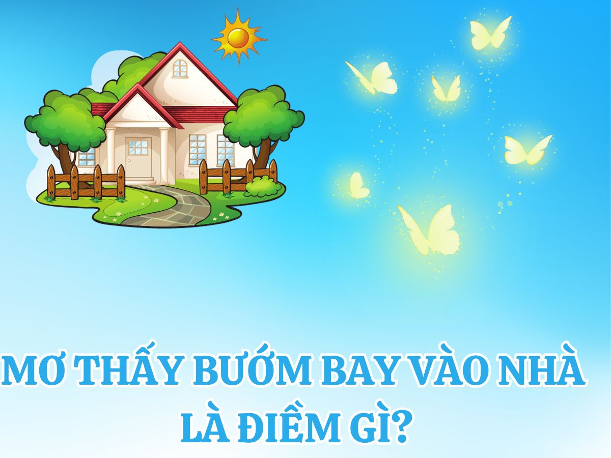 mơ thấy bướm bay vào nhà là điềm gì