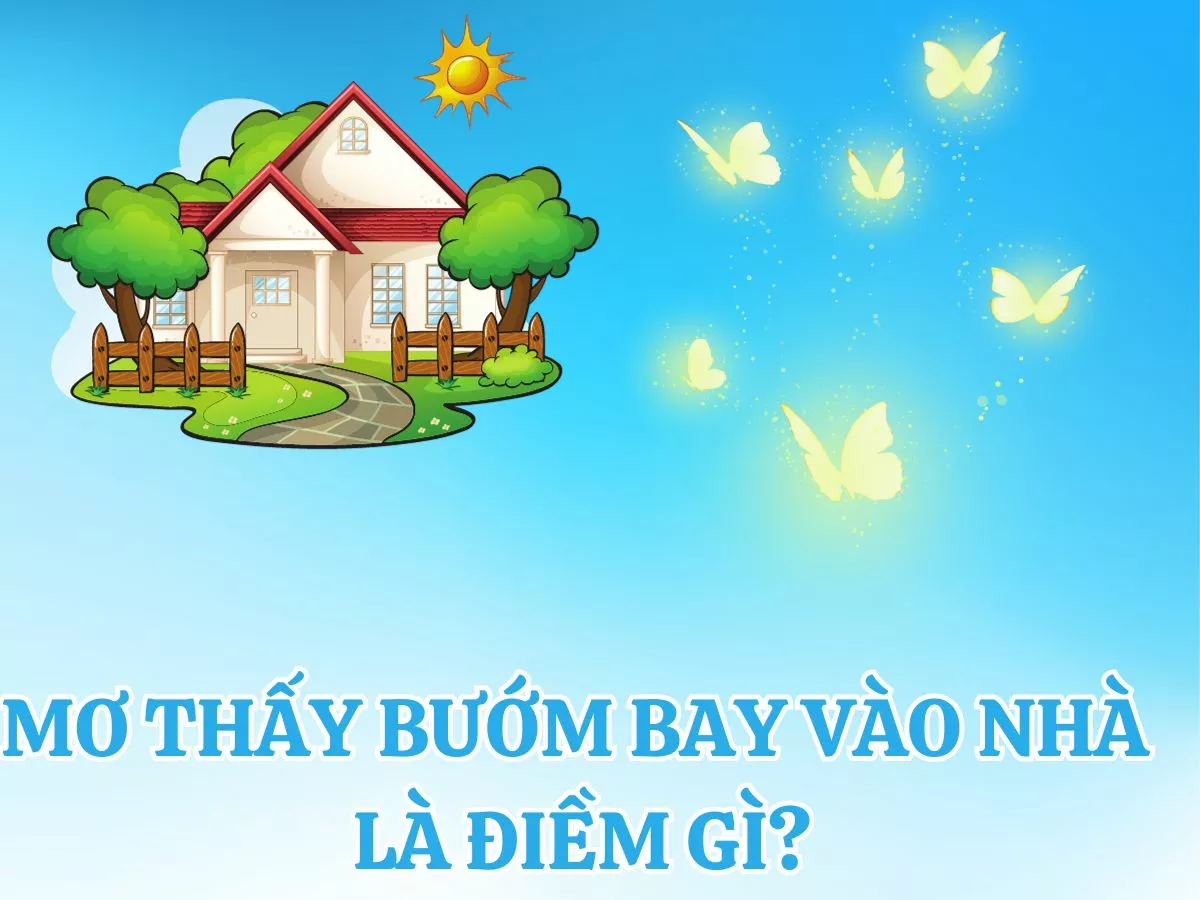 giai ma giac mo thay buom bay vao nha.jpg