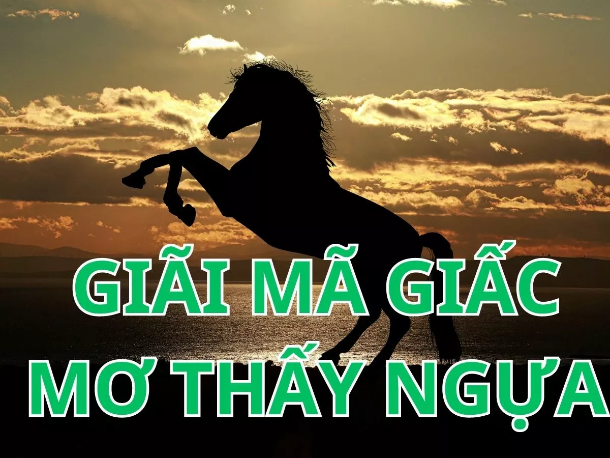 giai ma giac mo thay ngua.jpg