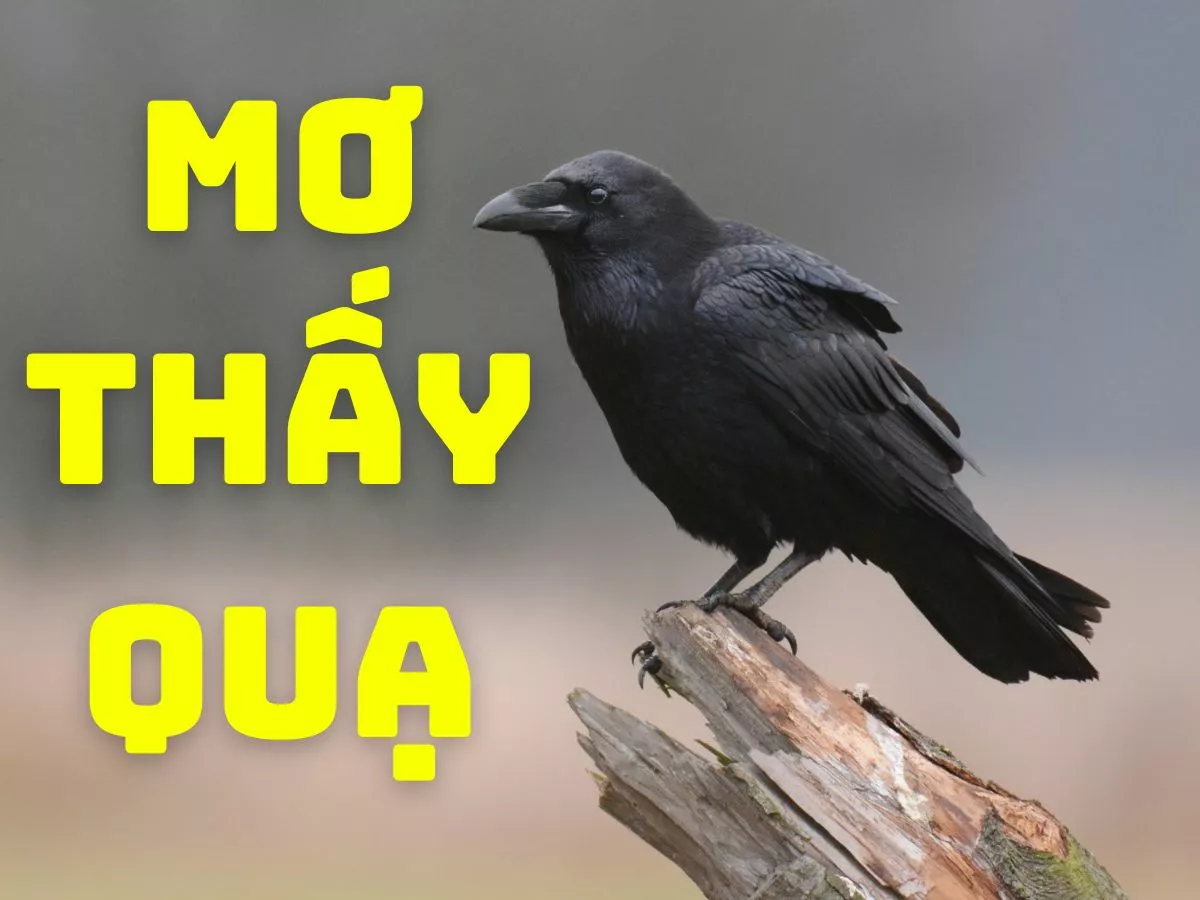 giai ma giac mo thay qua.jpg