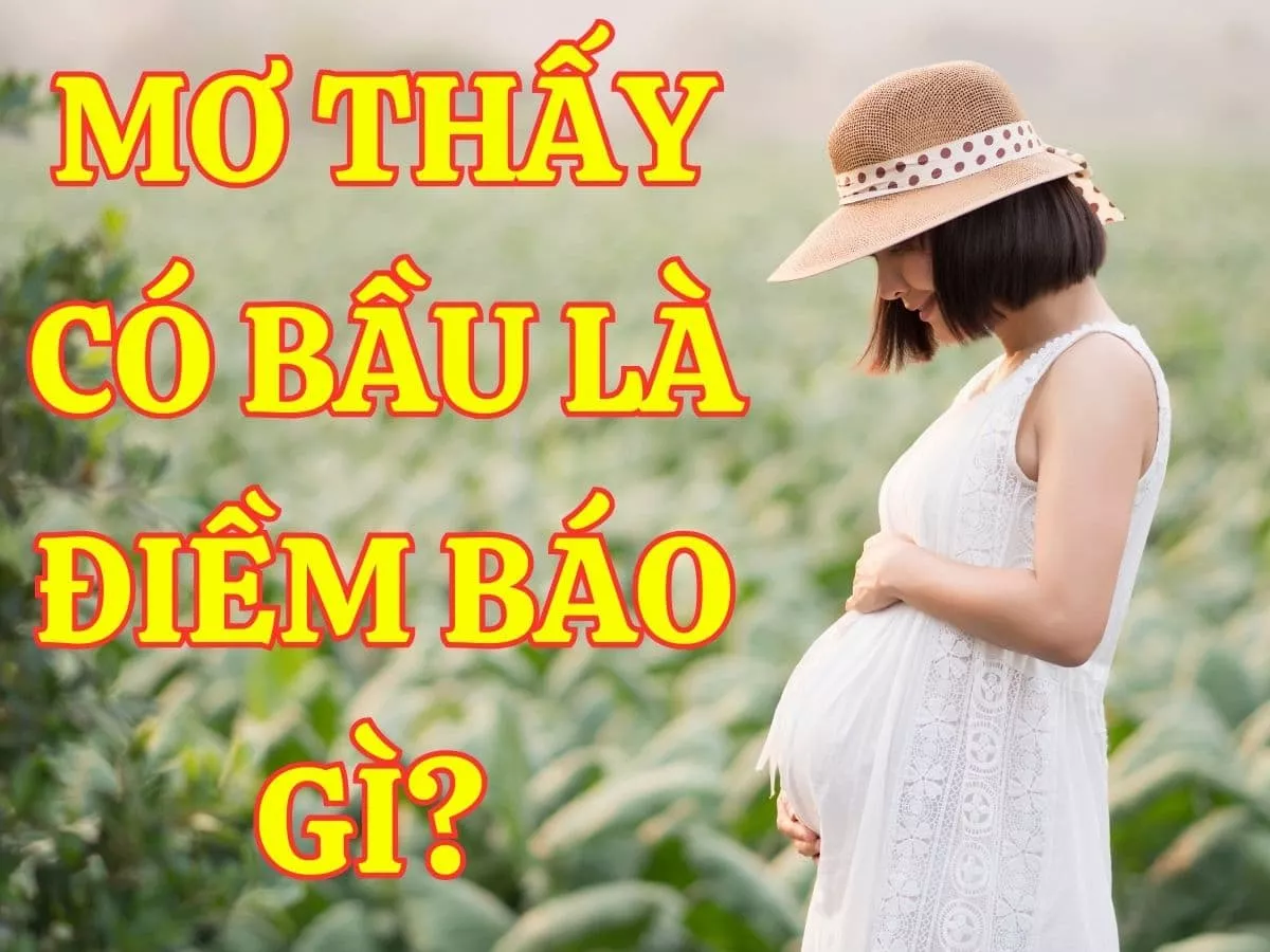 mo thay co bau la diem bao gi.jpg