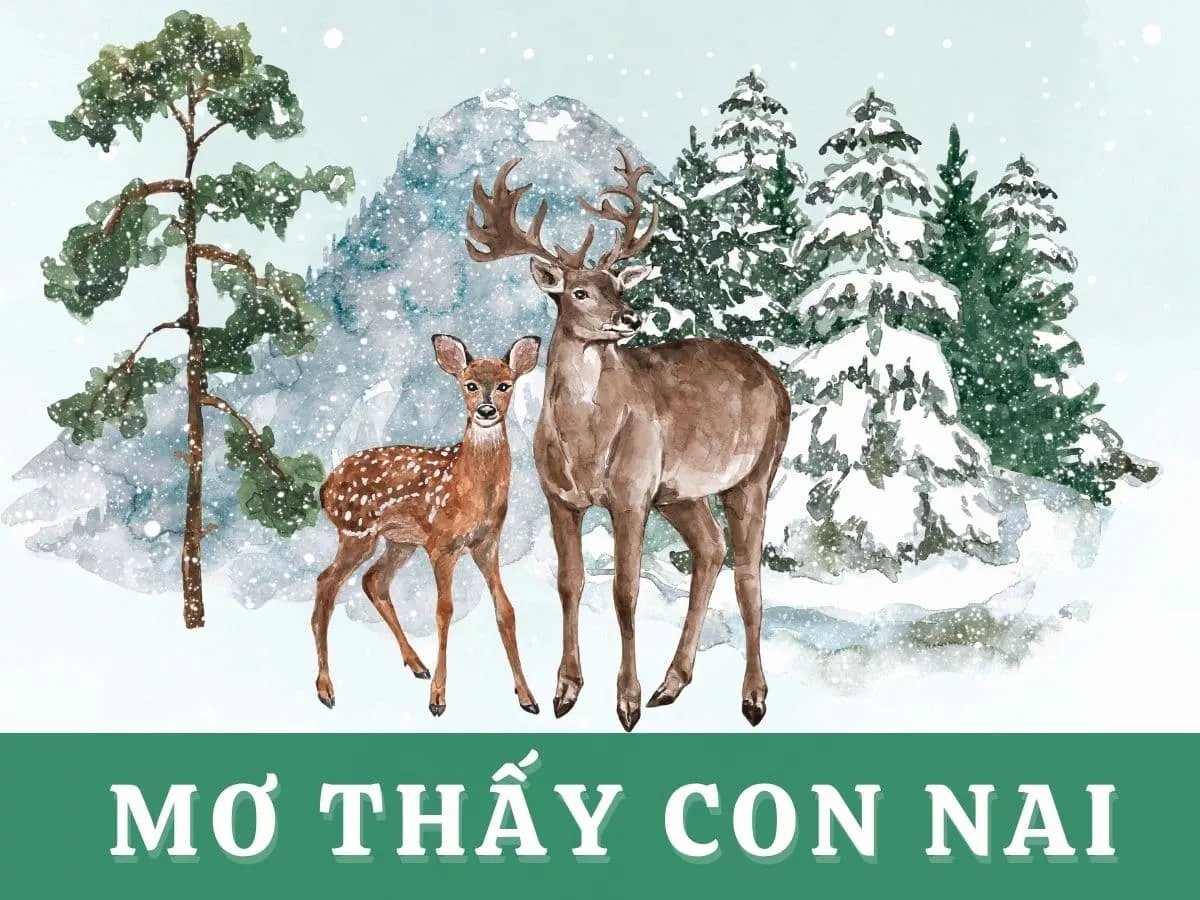 mo thay con nai.jpg