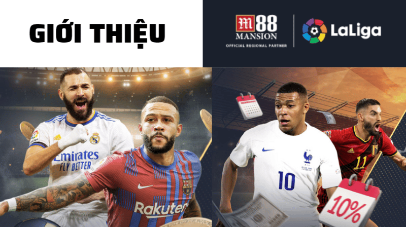 quá trình hình thành m88