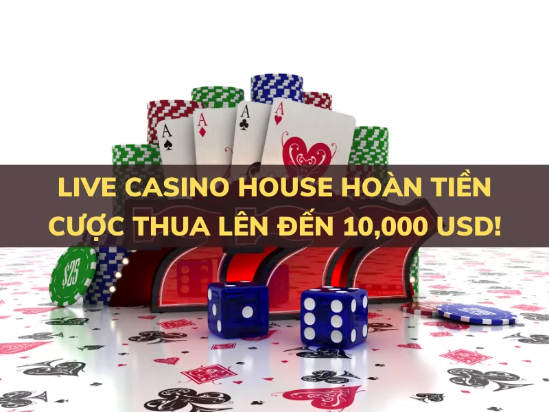 live casino house hoan tien cuoc thua hang tuan den 15.png