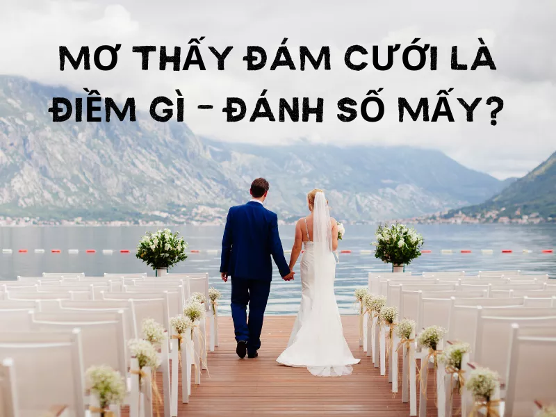mo thay dam cuoi.png