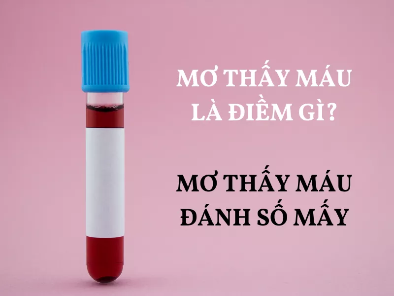 mơ thấy máu