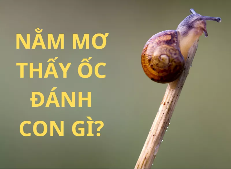 mo thay oc 1.png