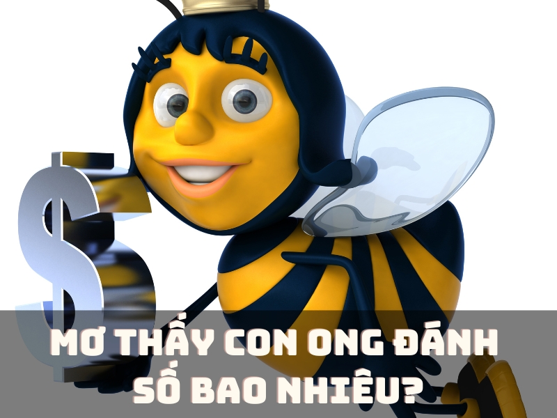 mơ thấy con ong đánh số bao nhiêu