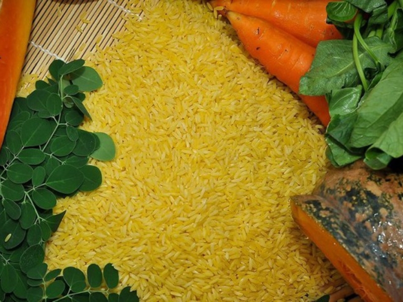 mơ thấy gạo vàng