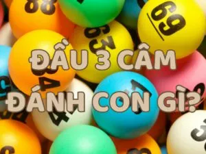 đầu 3 câm đánh con gì dễ trúng trong lô đề