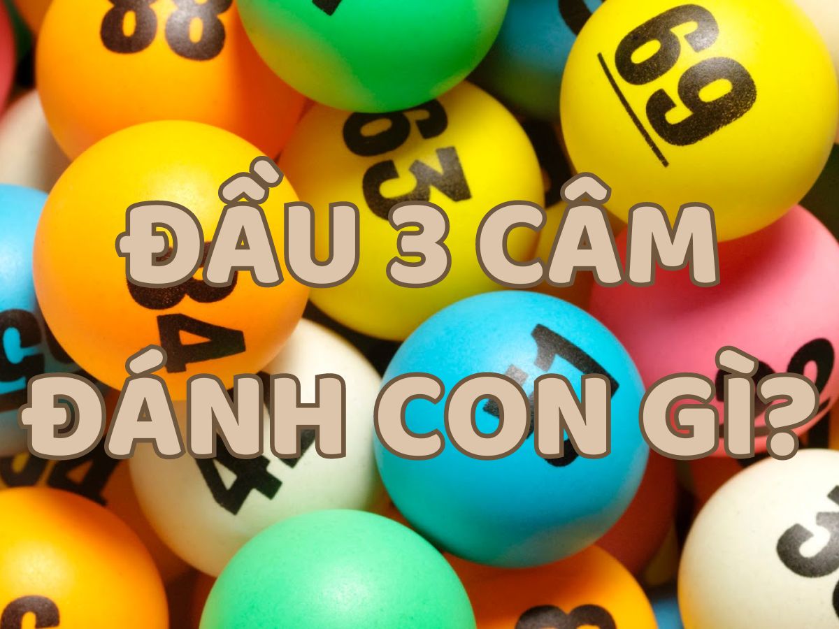 đầu 3 câm đánh con gì dễ trúng trong lô đề