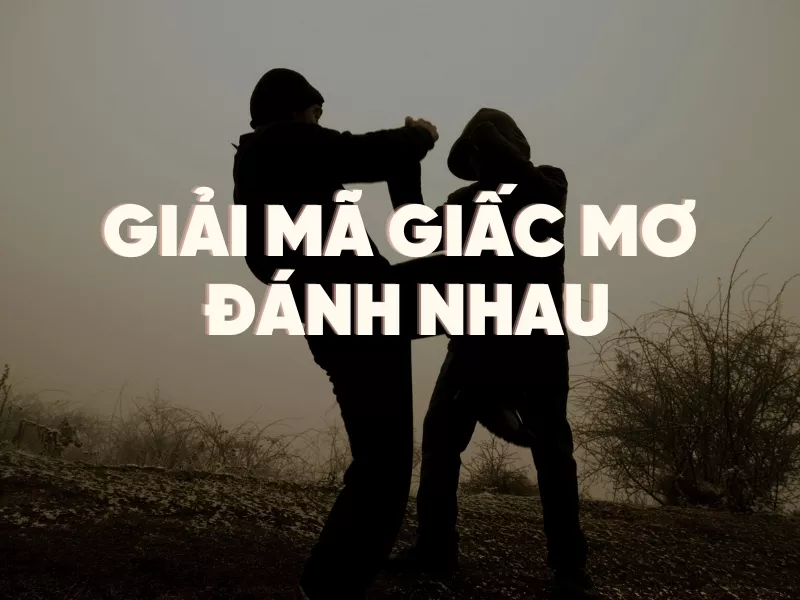 giai ma giac mo danh nhau.jpg