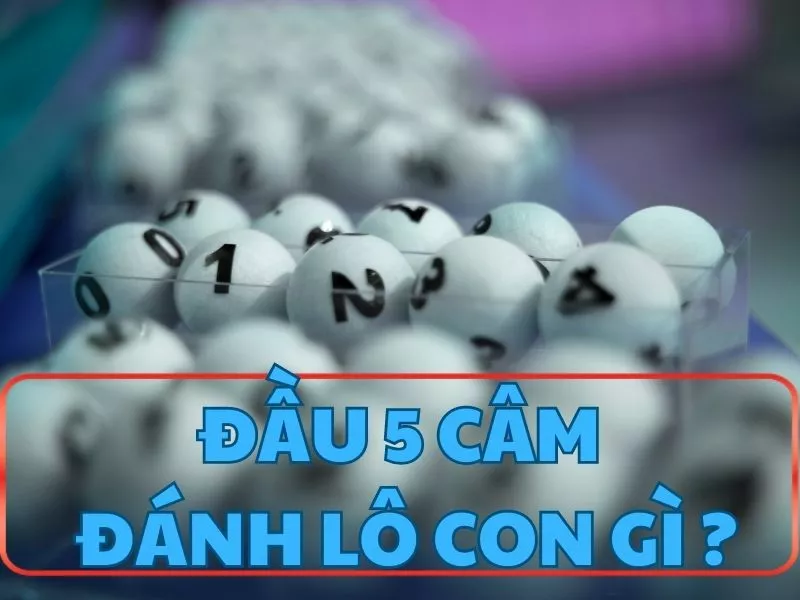 dau 5 cam danh lo con gi.jpg