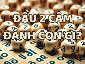 lô đầu 2 câm đánh con gì?