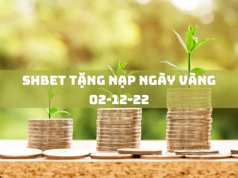 shbet tang nap ngay vang 02 12 22.jpg