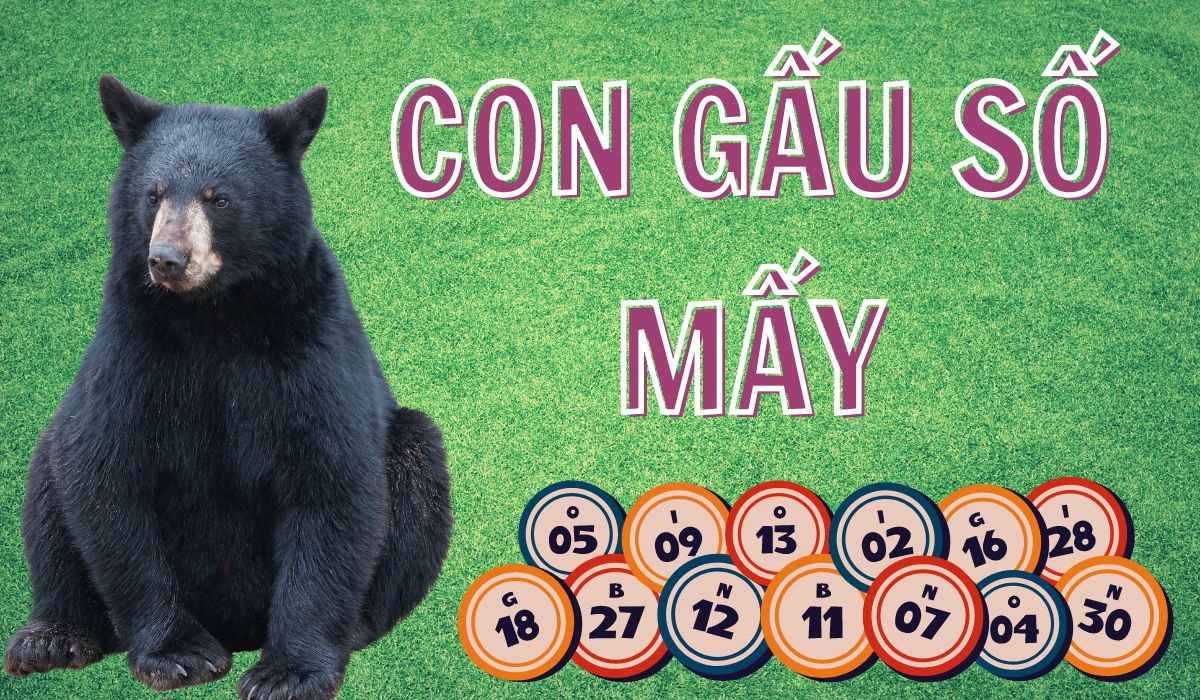 mơ thấy gấu đánh số mấy?