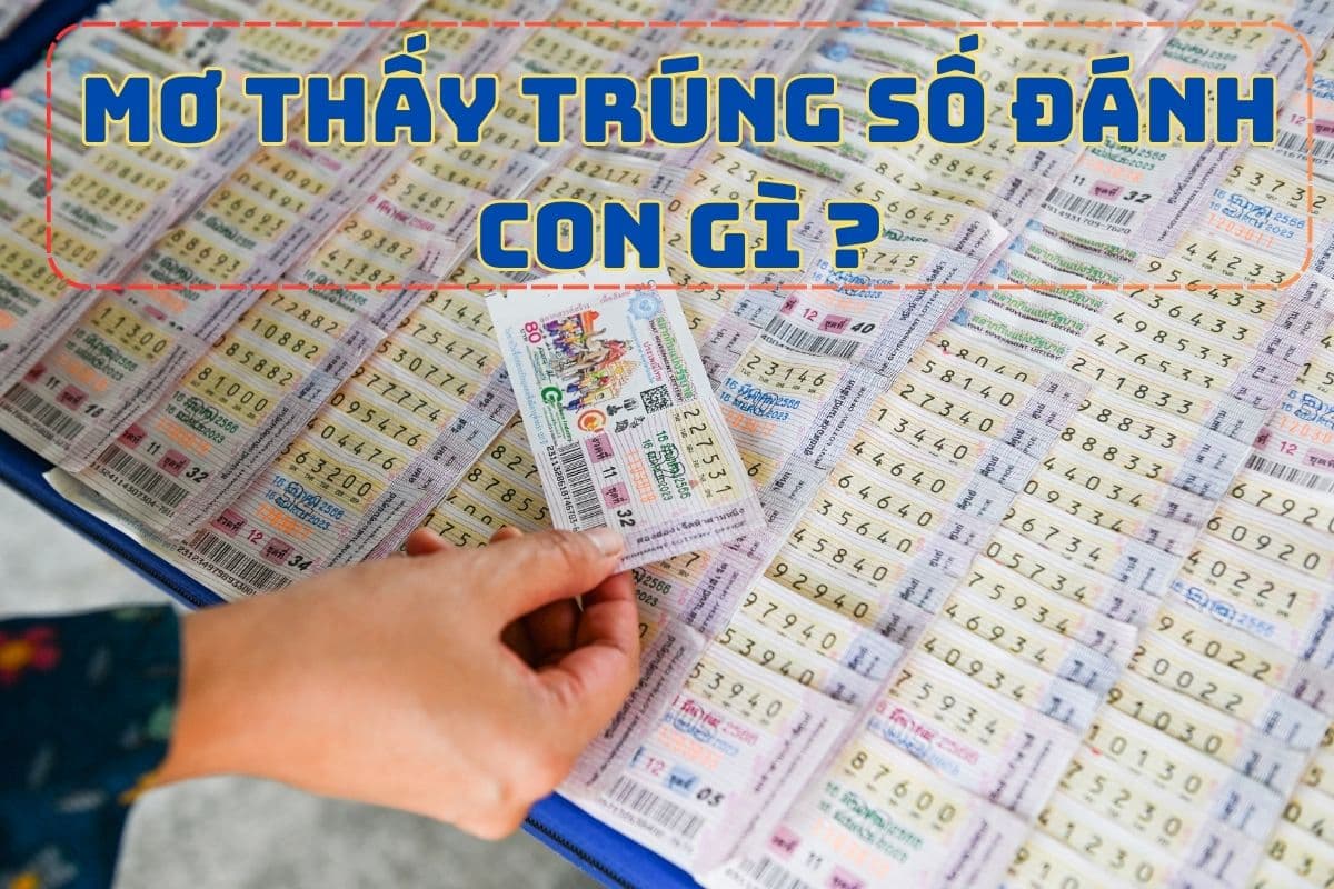nằm mơ thấy trúng số đánh con gì 